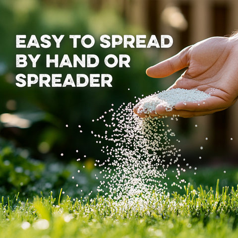 Grassias Pre Seed Fertiliser (1.25kg)