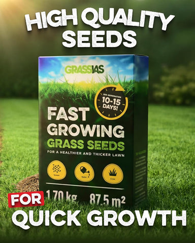 Fast Growing Grass Seed