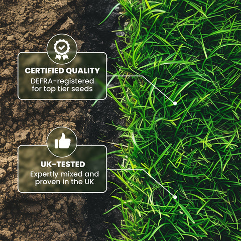 Close-up overhead view of thick green grass growing alongside dark bare soil, highlighting the contrast between seeded and unseeded areas. Two callout badges read 'Certified Quality — DEFRA-registered for top tier seeds' with a rosette icon, and 'UK-Tested — Expertly mixed and proven in the UK' with a thumbs-up icon.