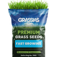 Fast Growing Grass Seed