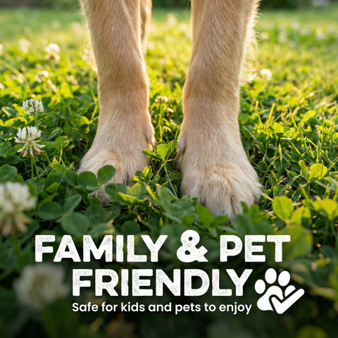 Grassias promotional image showing the front paws of a golden-furred dog standing on a lush clover lawn with white clover flowers. Bold text reads "Family & Pet Friendly" with a paw-and-heart icon, and the subtitle "Safe for kids and pets to enjoy."