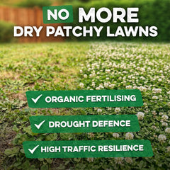 Grassias promotional image featuring a lush white clover lawn with blooming flowers, a wooden fence, and green hedging in the background. Bold text reads "No More Dry Patchy Lawns" with three checked benefits listed on green banners: Organic Fertilising, Drought Defence, and High Traffic Resilience.