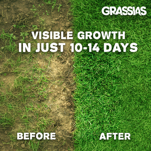 Grassias before-and-after comparison image. The left side shows bare, patchy brown soil with sparse grass labelled 'Before.' The right side shows thick, lush green grass labelled 'After.' White text overlay reads 'Visible Growth in Just 10–14 Days.'