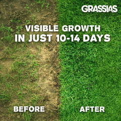 Grassias before-and-after comparison image. The left side shows bare, patchy brown soil with sparse grass labelled 'Before.' The right side shows thick, lush green grass labelled 'After.' White text overlay reads 'Visible Growth in Just 10–14 Days.'