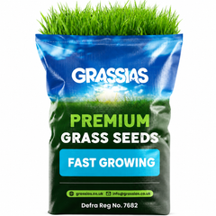 Fast Growing Grass Seed