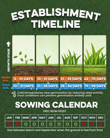 Fast Growing Grass Seed