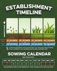 Fast Growing Grass Seed